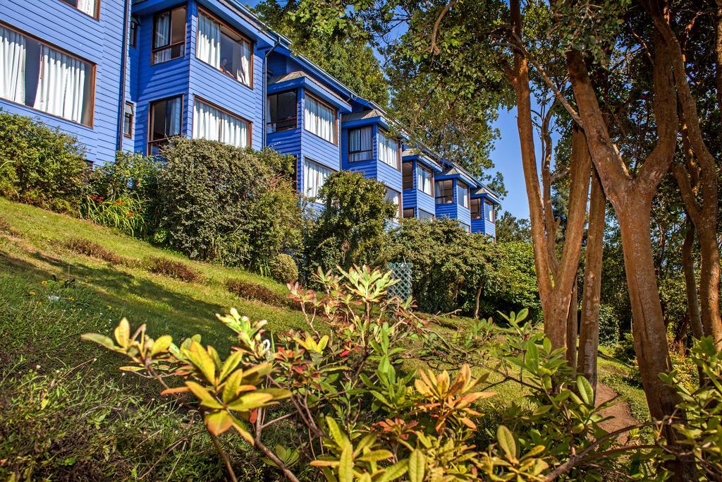 Hotel Elun, La Mejor Vista Frutillar Zewnętrze zdjęcie